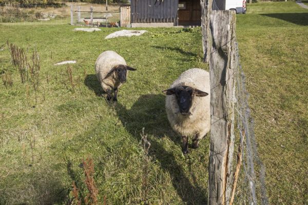 Penzion Semerink ubytování Severák Jizerské Hory 